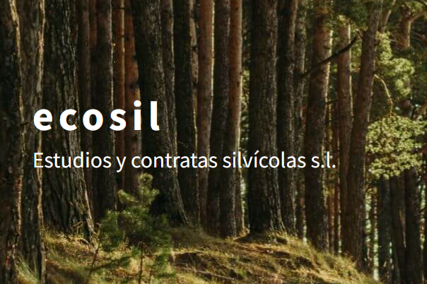 Bosque